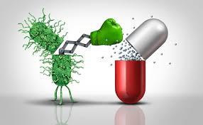 Certificate in Antibiotic Stewardship and Infections Diseases